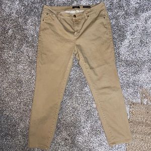 Curve Appeal Minimalist Jeggings